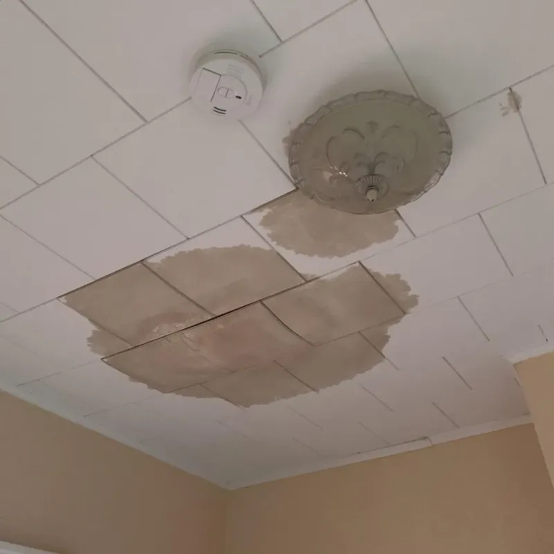 Ceiling Water Damage Repair in South Sioux City, NE