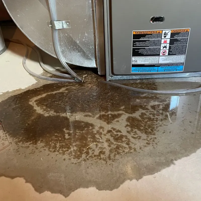 Pipe Burst and Leak Restoration in South Sioux City, NE